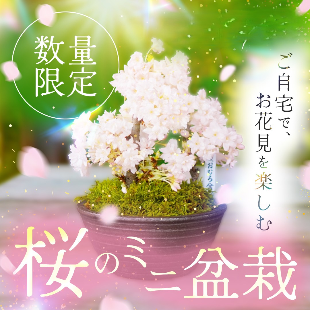 広告クリエイティブ制作実績